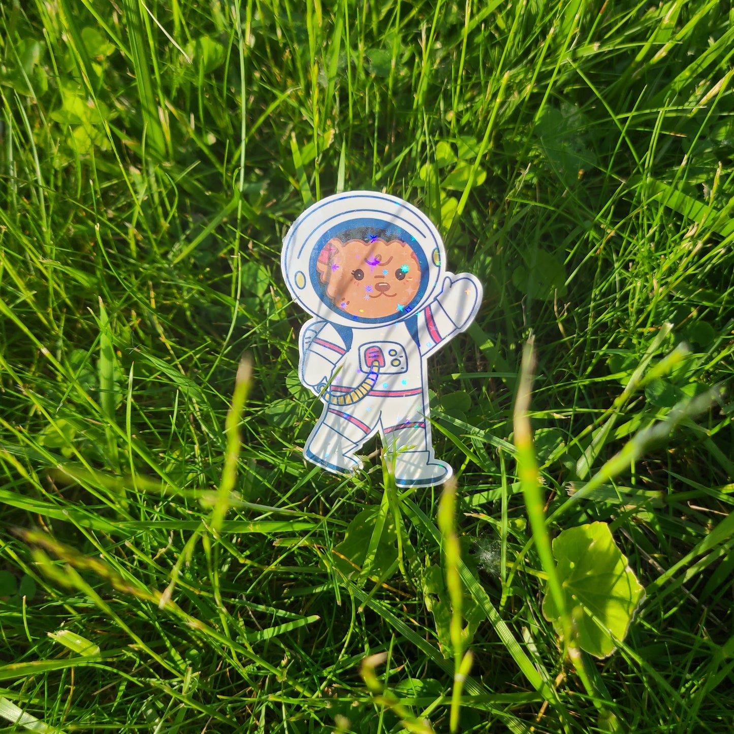 Astro bear Sticker