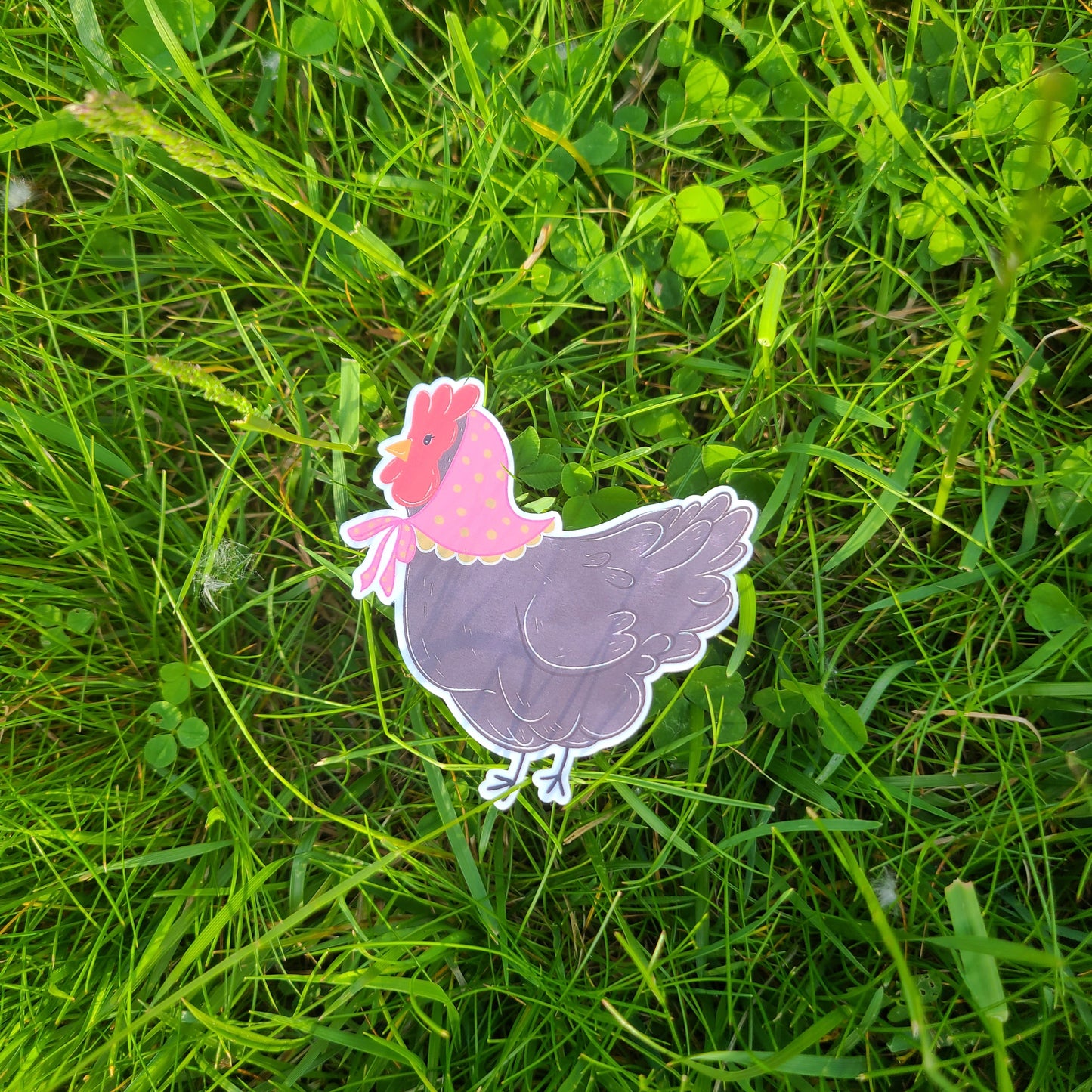 Chicken Sticker