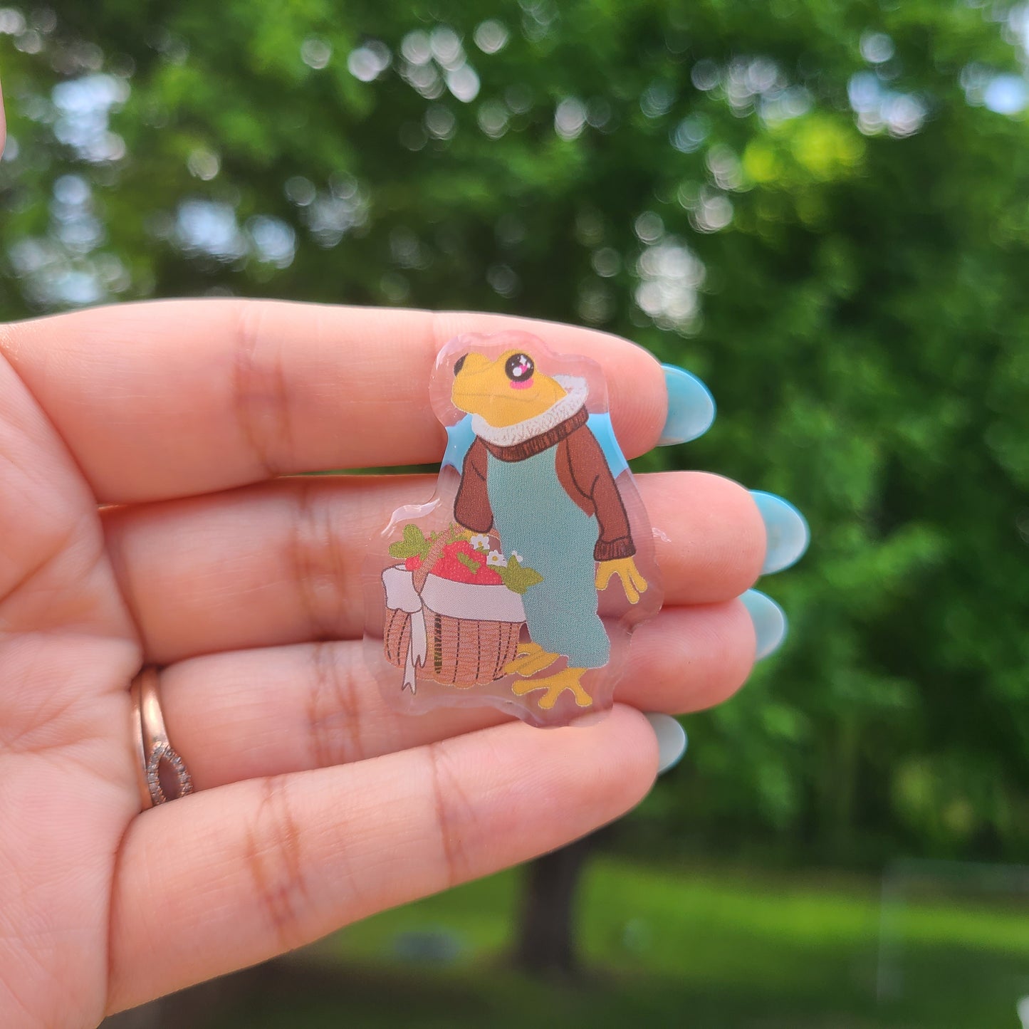 Picnic Frog Pin