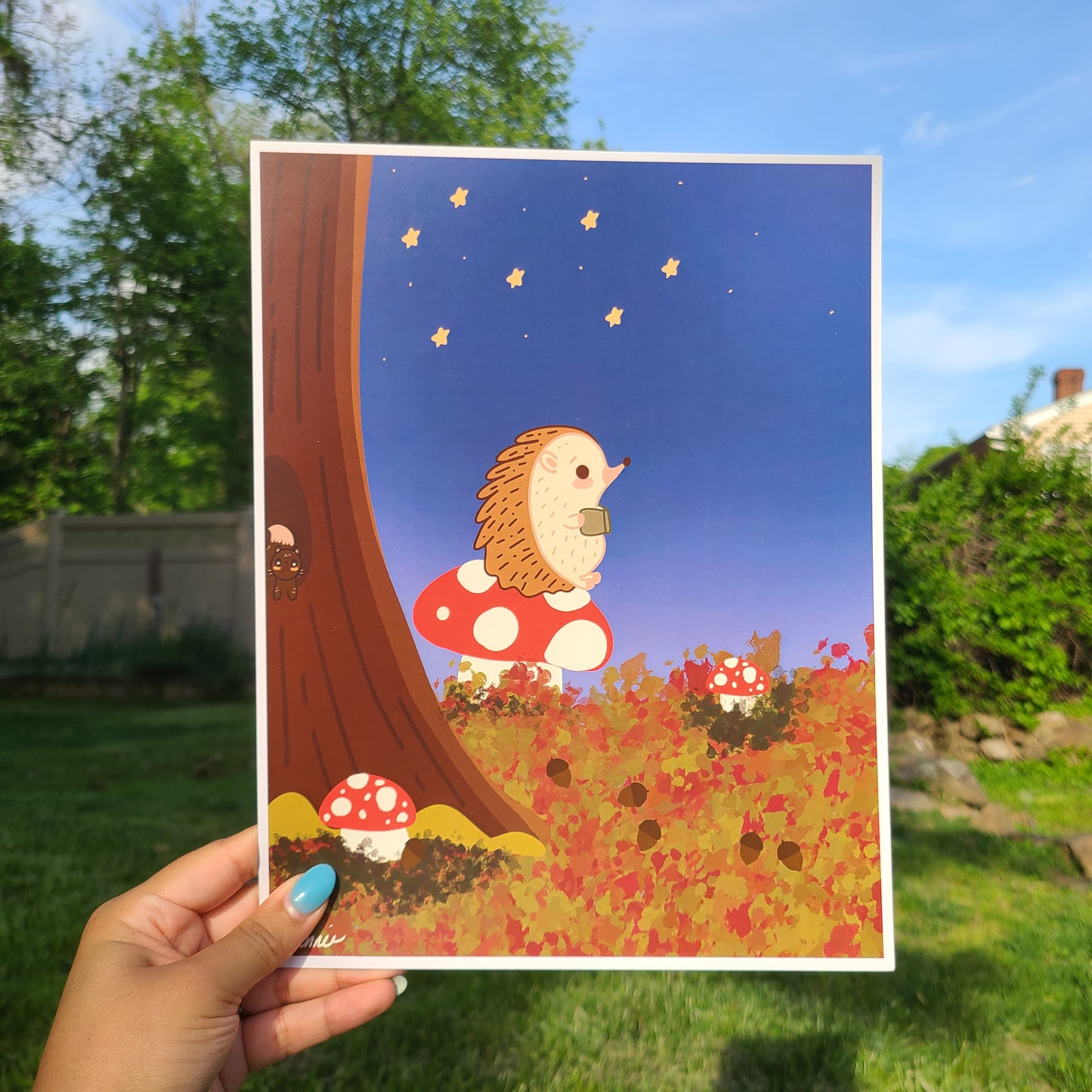 Hedgehog Under the Stars 8x10 Print