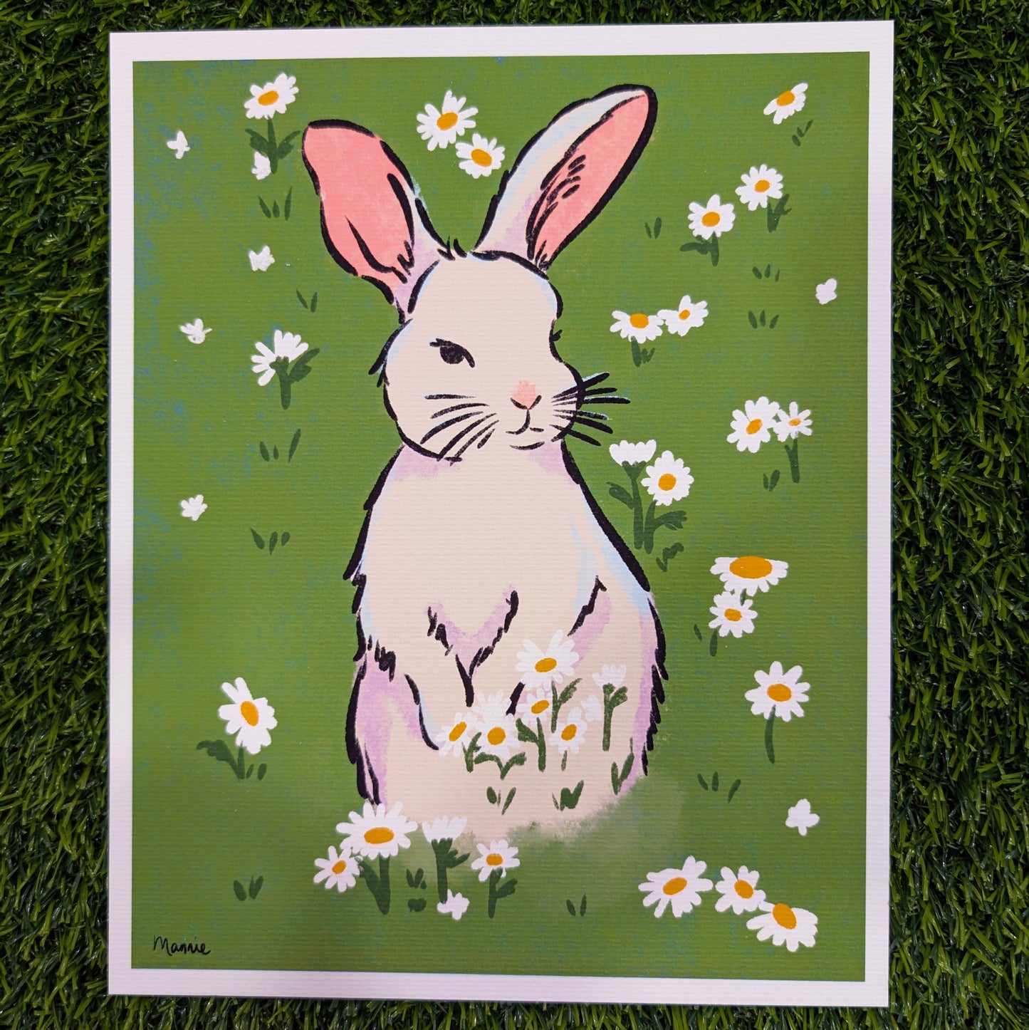 Bunny Fields