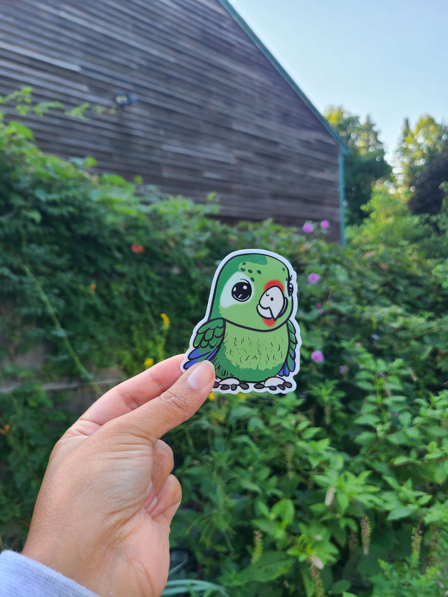 Puerto Rican Parrot Vinyl Sticker