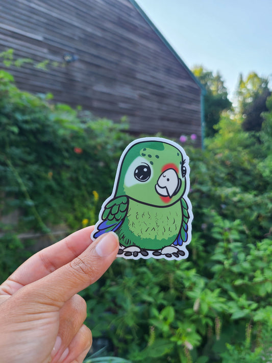 Puerto Rican Parrot Vinyl Sticker